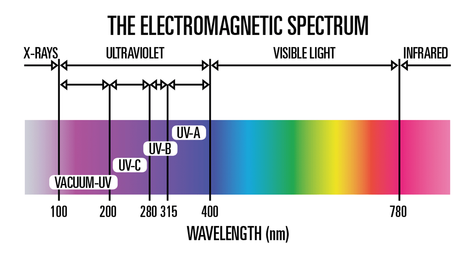 Basics on UV Light: The Science 